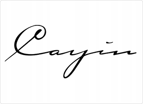 Cayin MM-1 - cecha 3